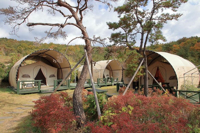 토함산관광농원(캠프5) 시설 사진 8