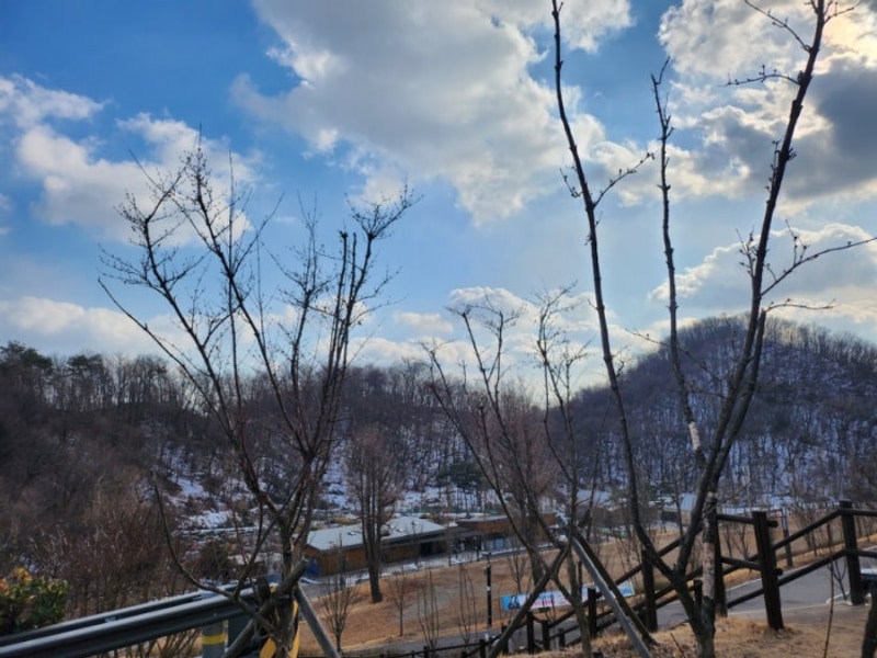 구로 천왕산가족캠핑장