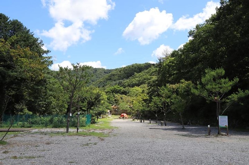 거북바위 야영장 대표 사진