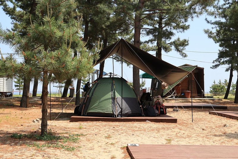 북분솔밭캠핑장 시설 사진 18