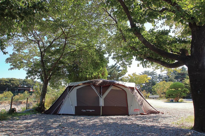 늘푸른캠핑장 시설 사진 5