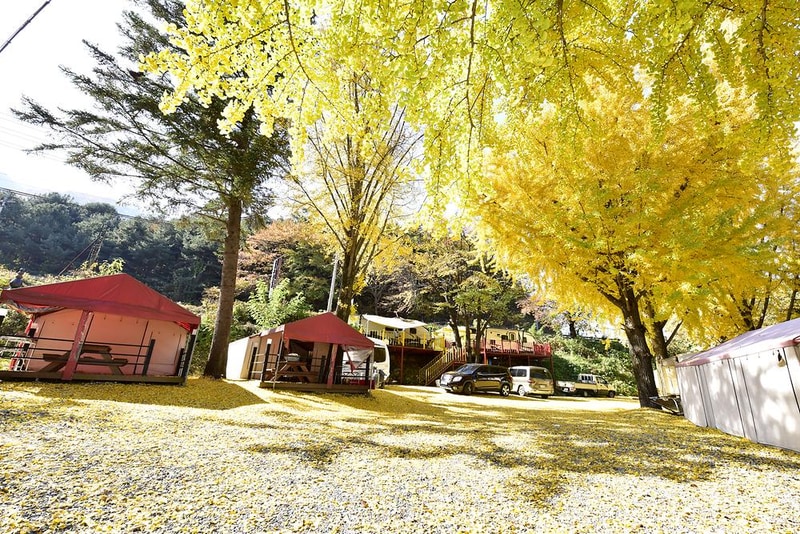 자이언트레저 시설 사진 9