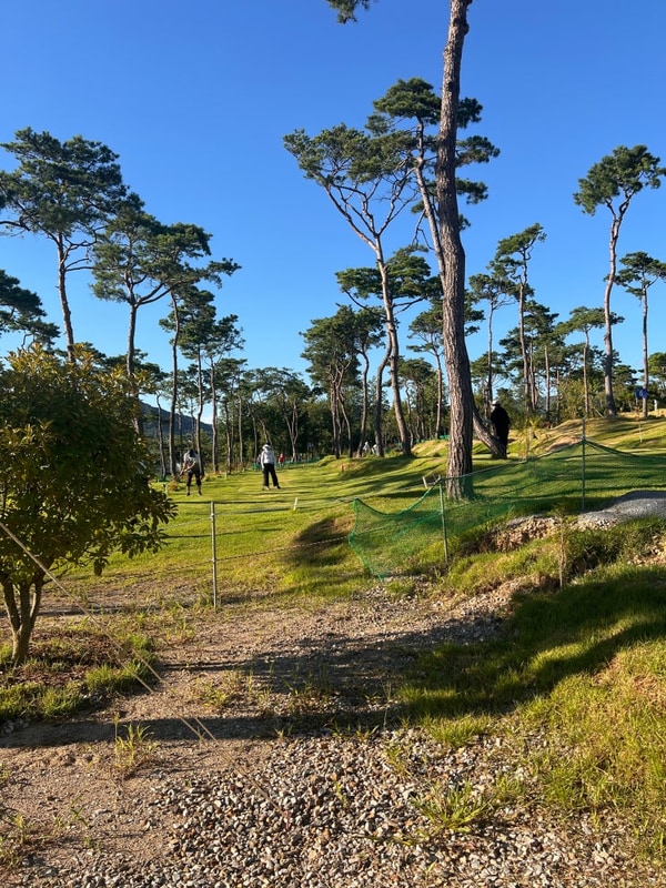 광주근교에 아주가까운 장성청솔캠핑장 솔직리뷰 들어갑니당