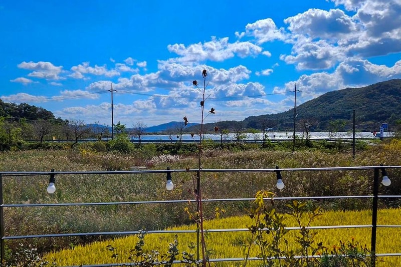 와우바베큐캠핑장 시설 사진 2