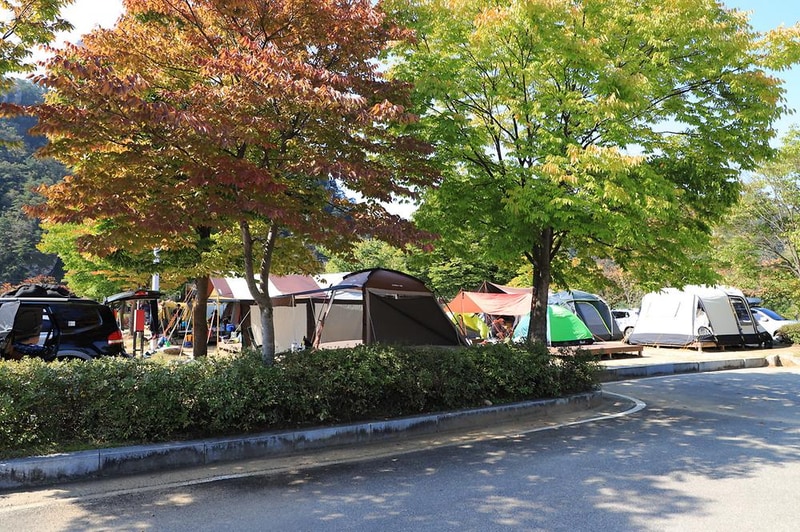 팔봉산관광지 야영장 시설 사진 8