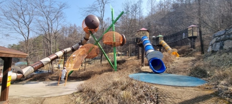 옥화자연휴양림 국민여가캠핑장 24번 후기 / 유아숲 놀이터