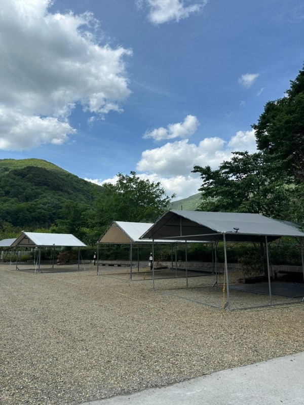 진담 캠퍼)밀양 캠앤캠 아지트