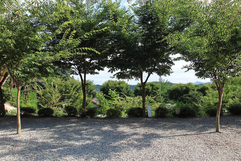 제천워터파크캠핑랜드 시설 사진 9