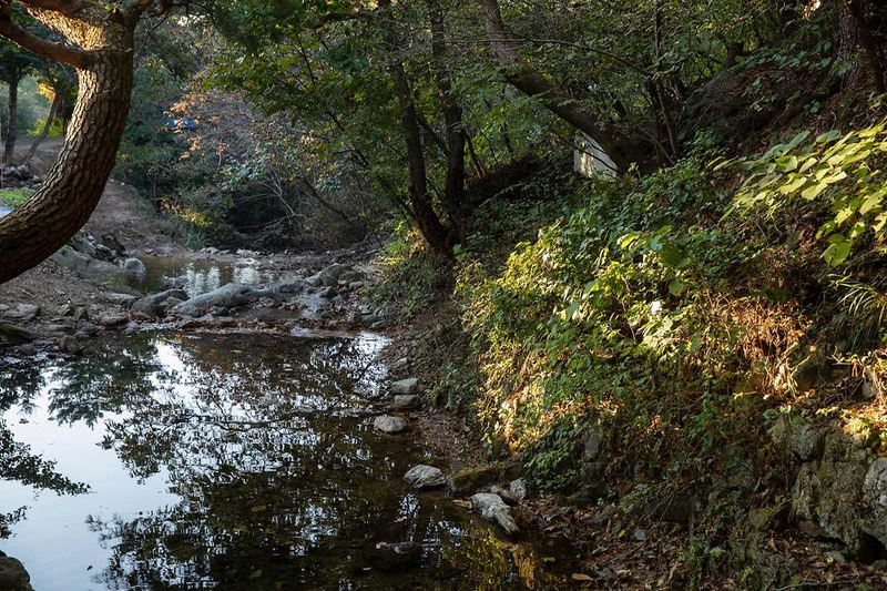 돈내미농장 시설 사진 10