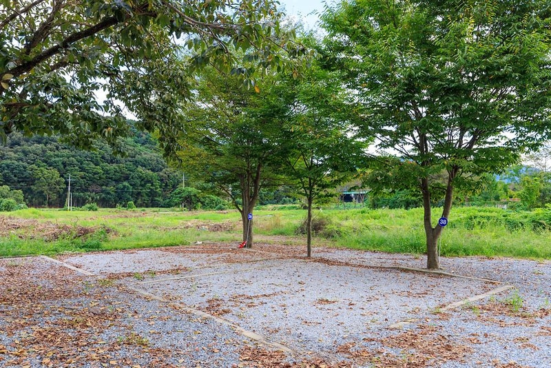 파랑새 캠핑장 시설 사진 3