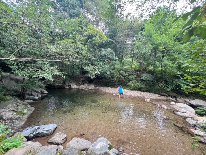 제천 덕동골캠핑장 맑고 깊은 계곡사이트 내돈내산(명당추천)