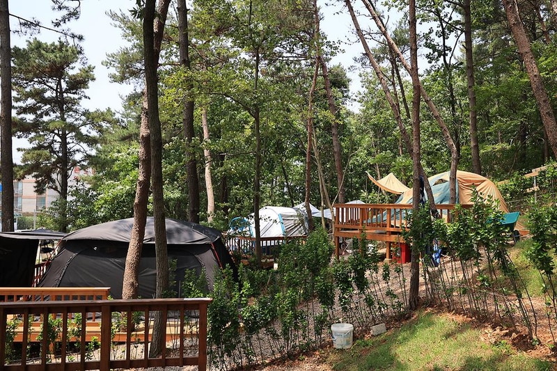 영흥도십리포캠핑장 시설 사진 1