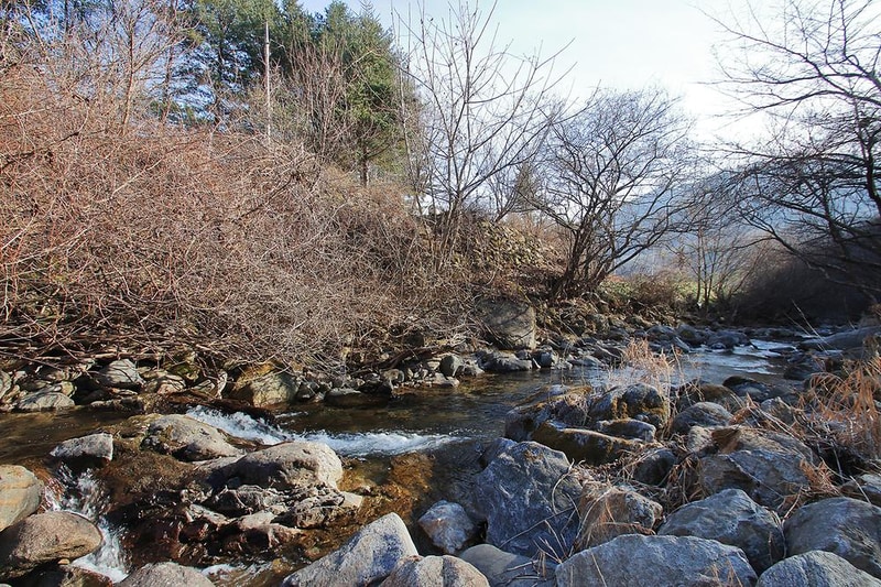 달재오토캠핑장 시설 사진 14