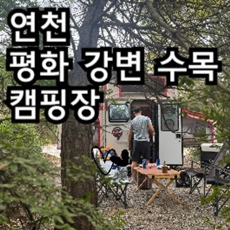 평화강변수목캠핑장 연천캠핑장 숲속캠핑장