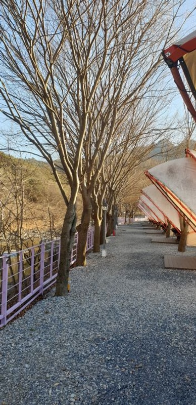 25년 새해 첫여행 선택한 단양글램핑&펜션