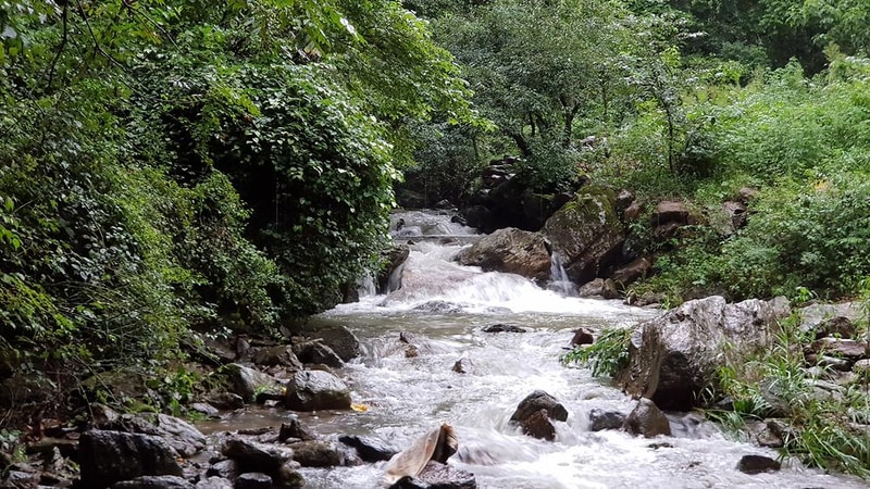 쿼크밸리캠프 야영장 시설 사진 9