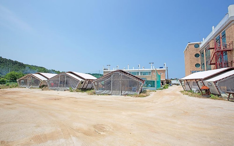 학암포글램핑 시설 사진 5