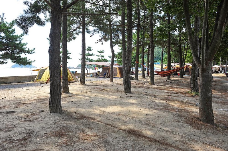 상주은모래비치 오토캠핑장 시설 사진 14