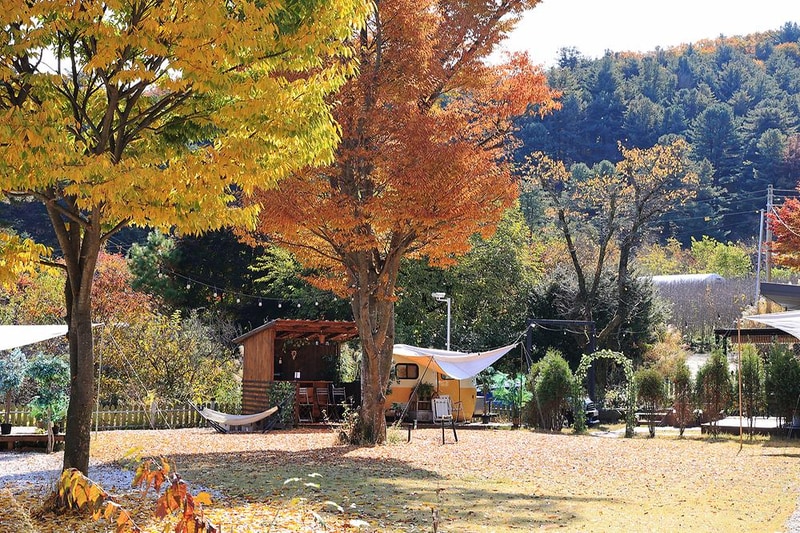 잭스캠프 시설 사진 12