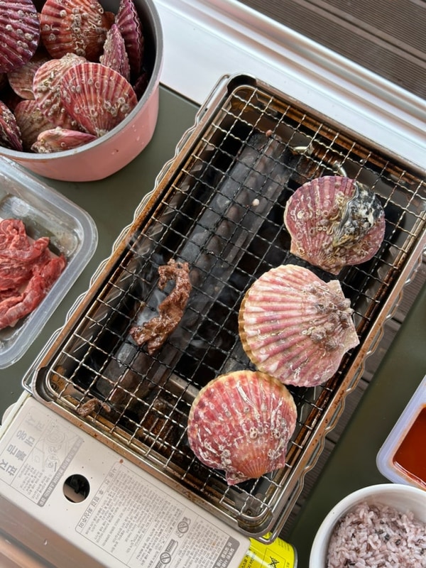 [파주]파주동화힐링캠프/카라반/파주카라반