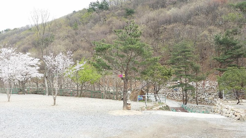 에코밸리 캠프 시설 사진 1