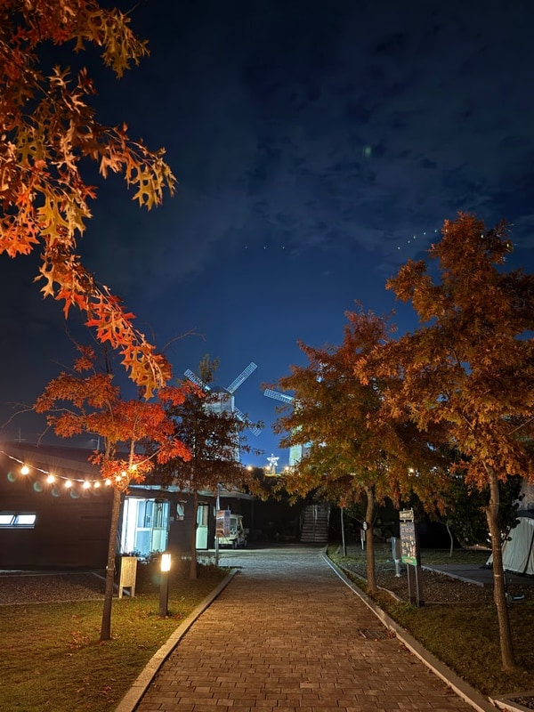 #165 연천 세계캠핑체험존 별빛야영데크11...11/8