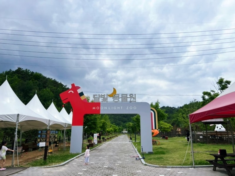 5월 영월 당나귀 체험하는 펫힐링 달빛동물원 캠핑장 (57번째)