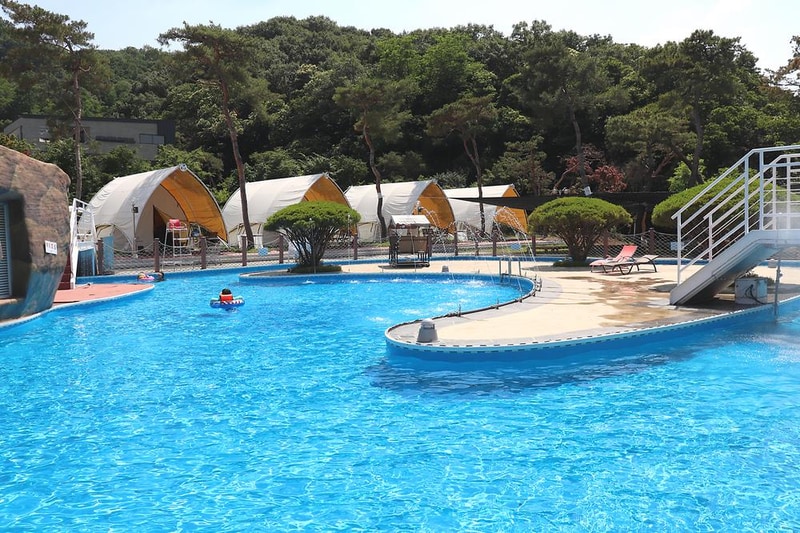 다온숲 시설 사진 33