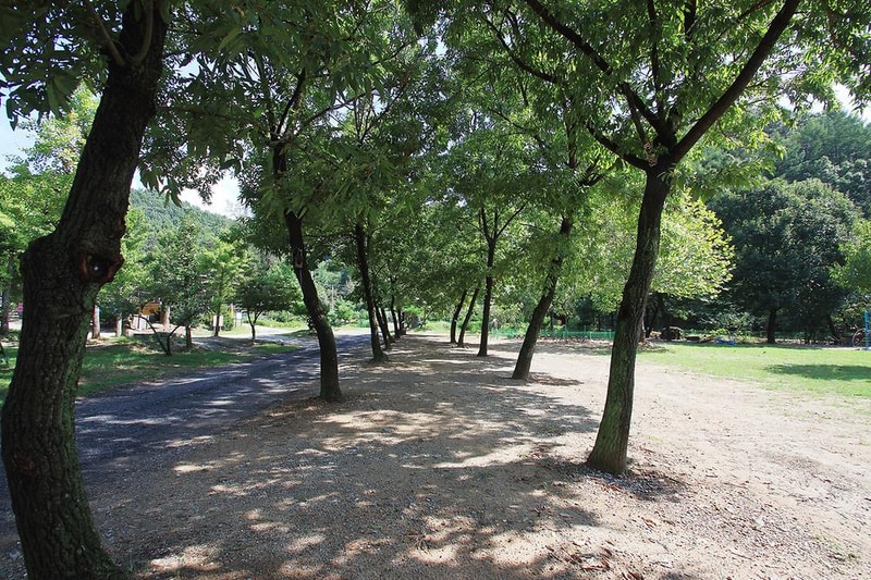 햇살아래 캠핑장 시설 사진 1