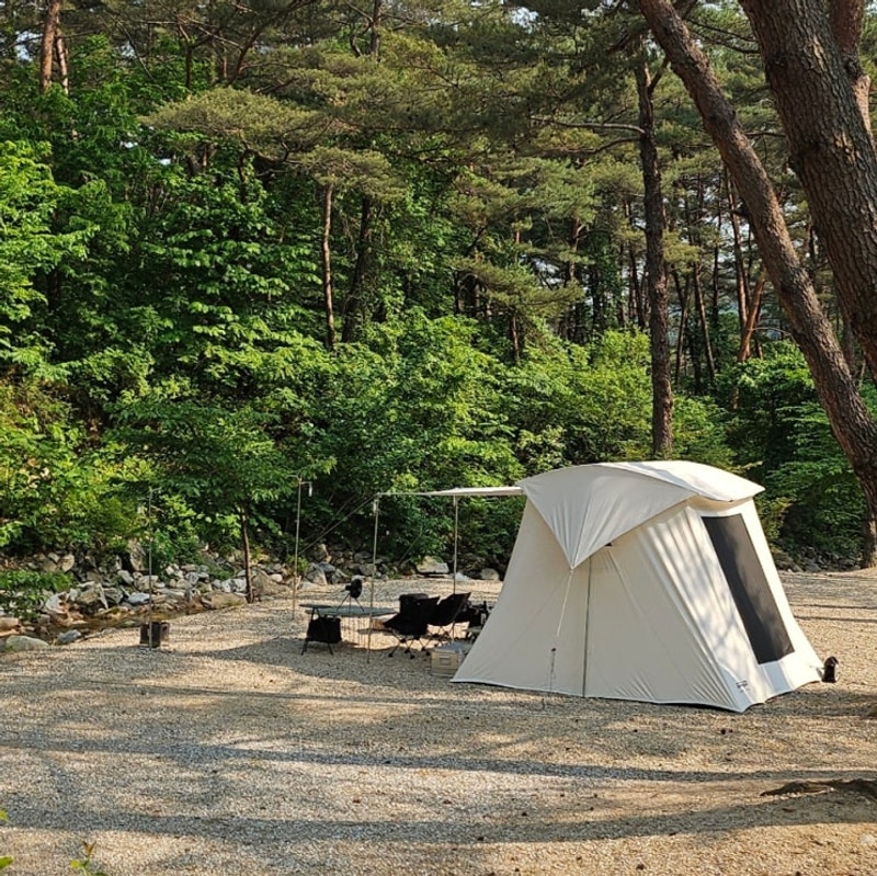 [캠핑기록] 캠프오어즈 여름 9번 사이트 후기