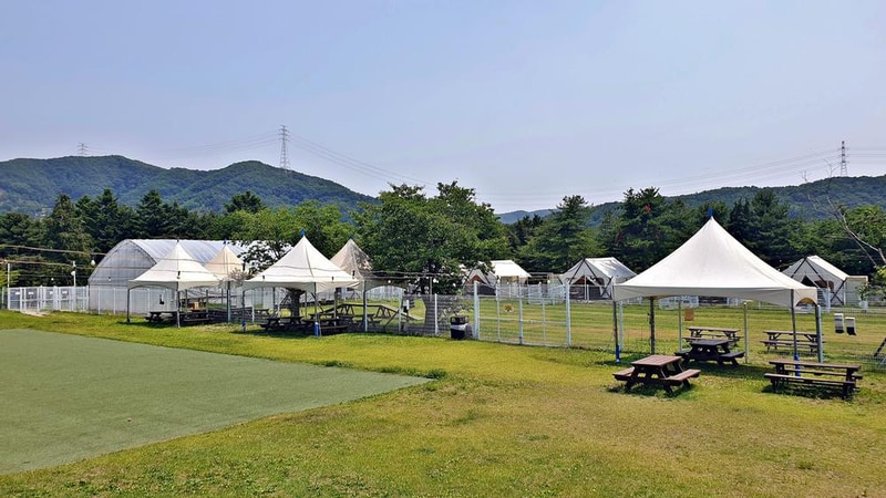 골드펫리조트 시설 사진 24