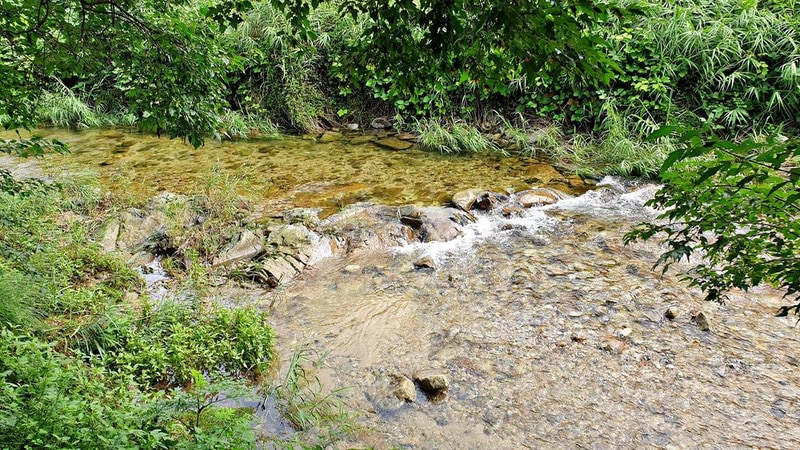 배론의아침 시설 사진 25