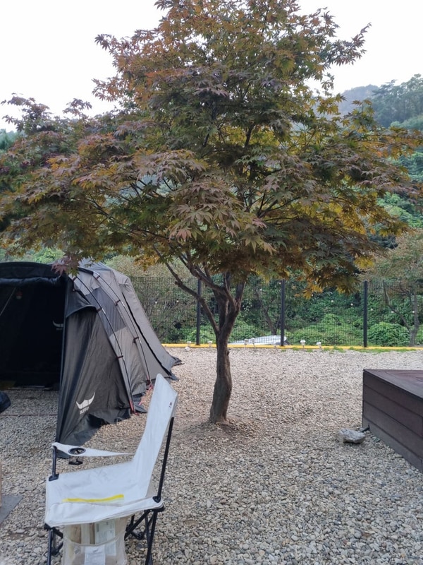 [경기도 양주] 친구따라 가서 대만족하고 온 '해피니스 캠핑장...