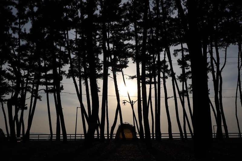 몽산포오토캠핑장 2구역 시설 사진 6