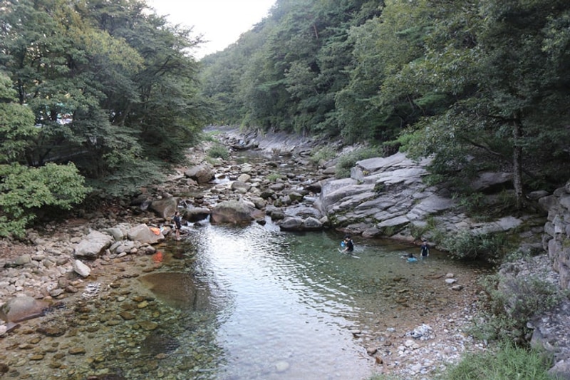 월악산국립공원 덕주야영장....물놀이