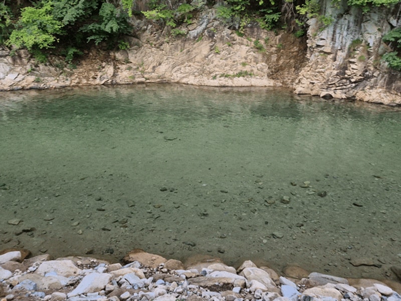 [완주] 신월리오토캠핑장 : 물놀이 스팟 검태오남매 근처...