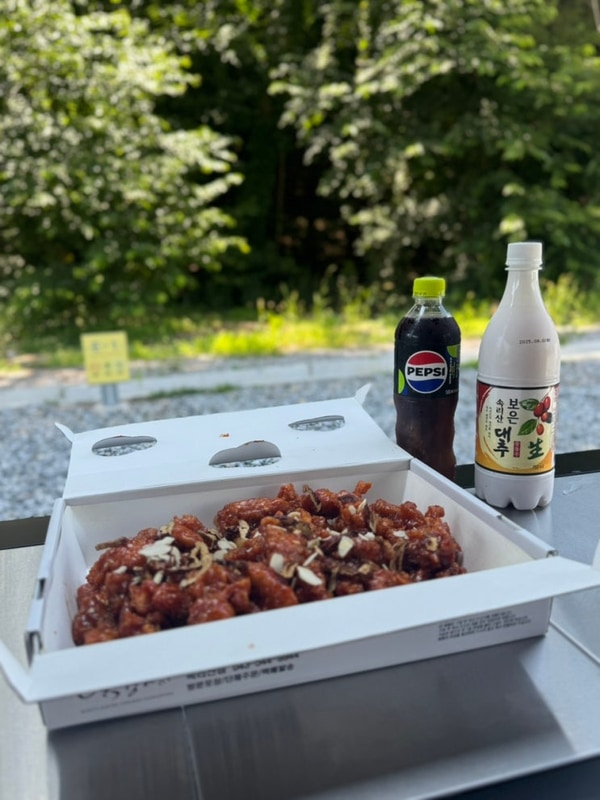 계곡없이도 시원했던 여름캠핑 - 충북 보은 고릴라캠핑in속리산