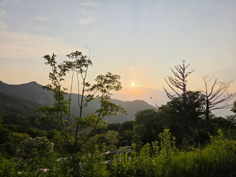 205번째 캠핑 - 합천 황매산 숲속야영장