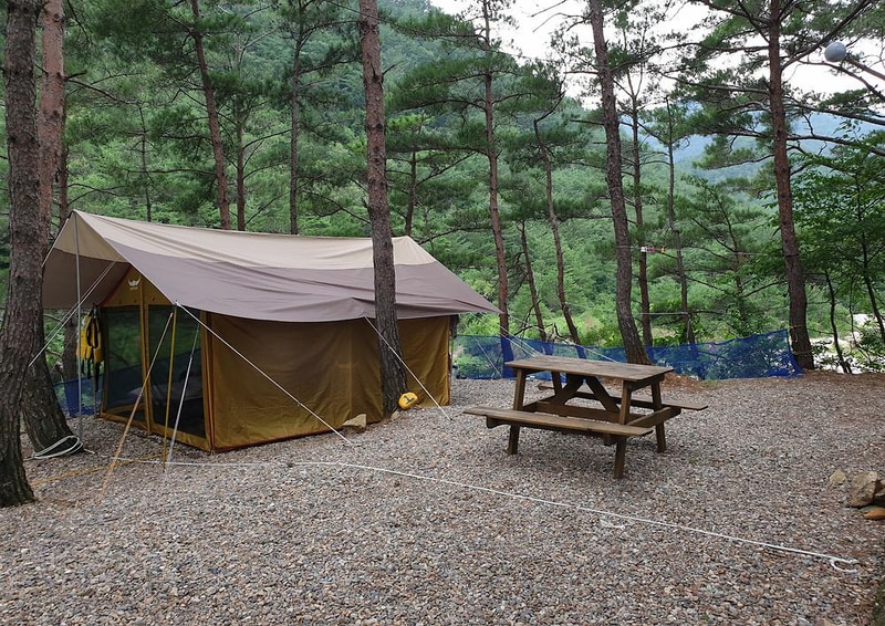 왕피천하늘담야영장 시설 사진 31