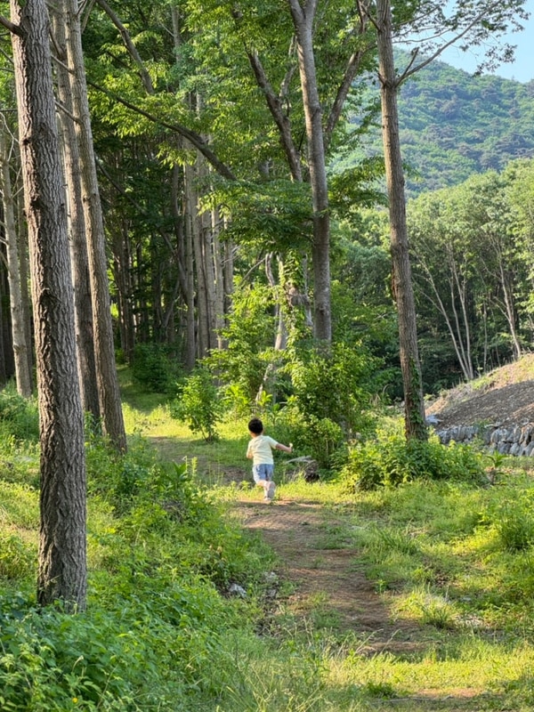 [ 캠린이 캠핑일기 ] 스노우라인 캠핑빌리지 아기랑예산캠핑...