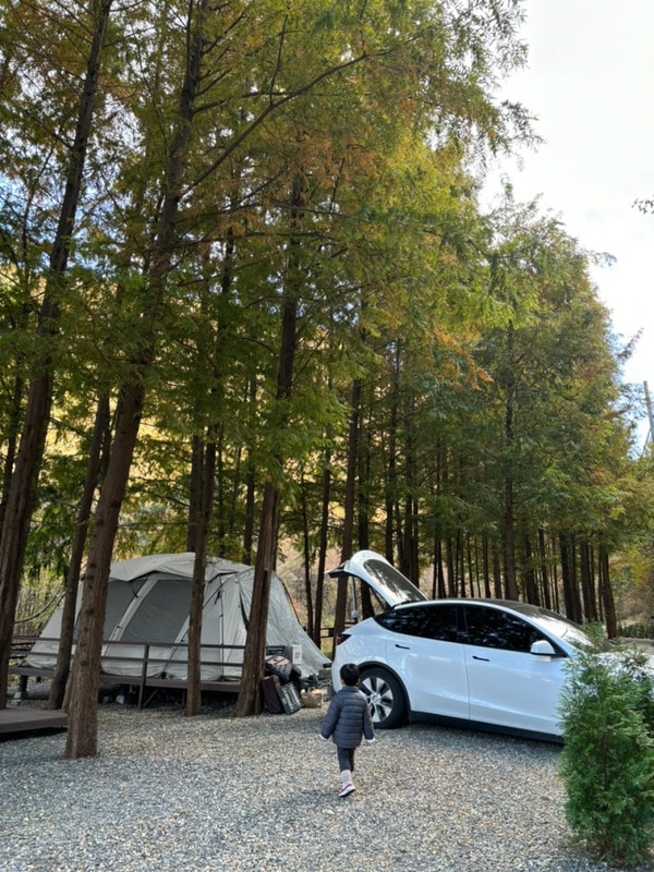 [경기 양평] 스테이네이처 캠핑장 D10 구역 이용 후기!