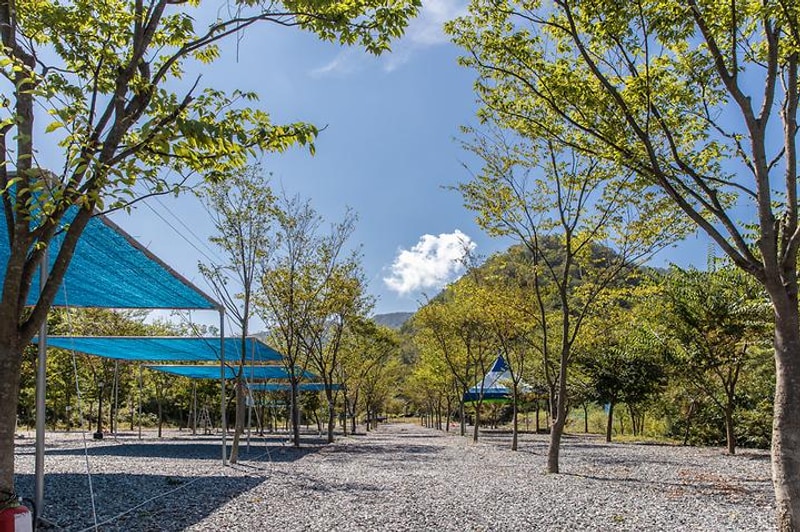 로뎀하우스 대표 사진