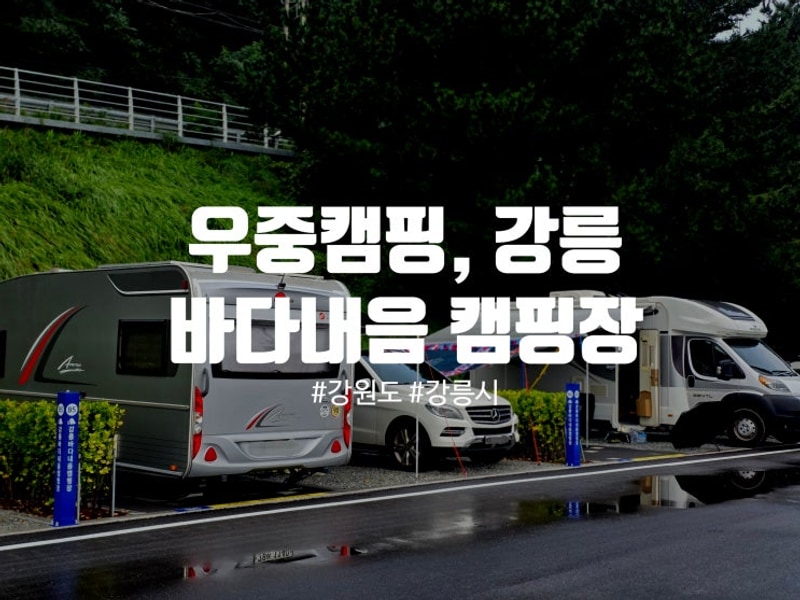 [카라반] 111st 강릉 바다내음 캠핑장