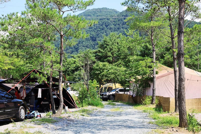 평창 보물섬캠핑장 시설 사진 14