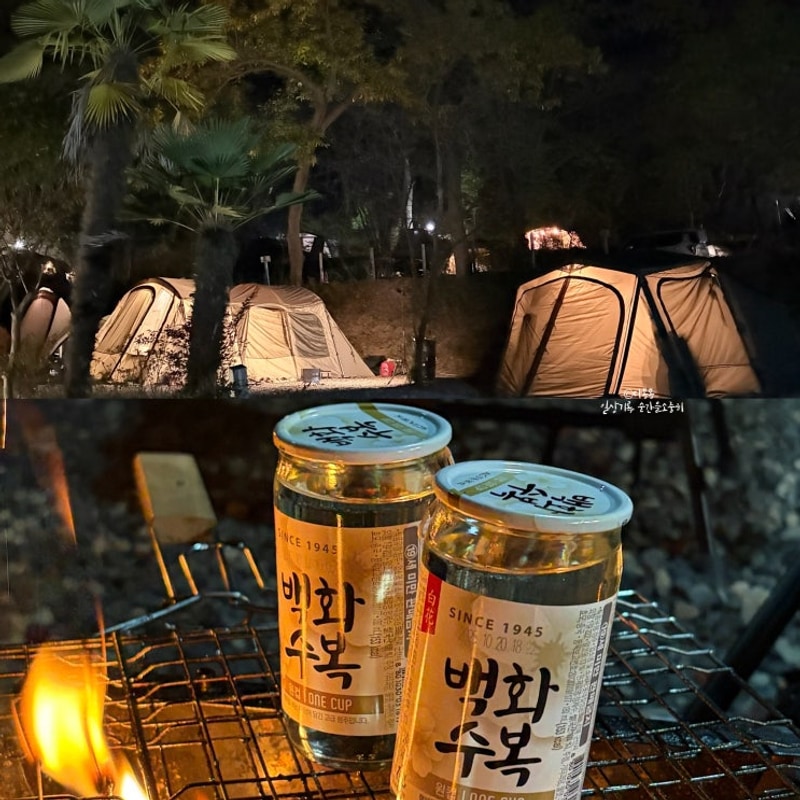 순천상사호오토캠핑장 B3 광양 근교 아이들이랑 갈만한곳...