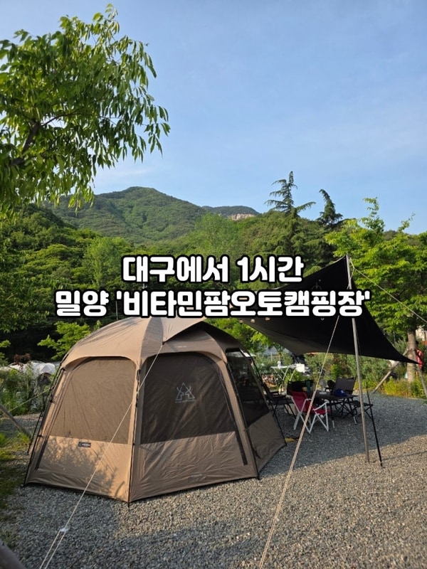 25년 5월 밀양 '비타민팜 오토캠핑장'