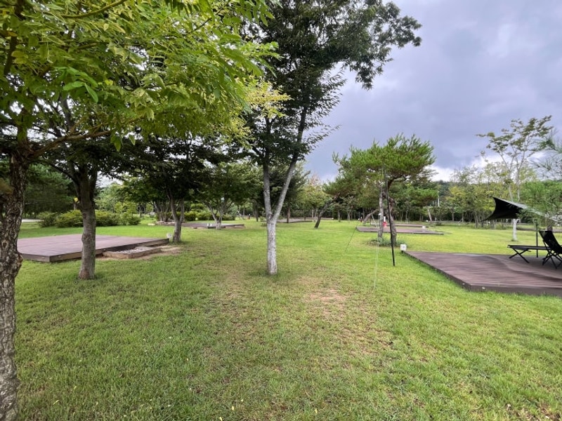 [강원도 강릉] 342캠프 캠핑장 (+삼교리 동치미 막국수)