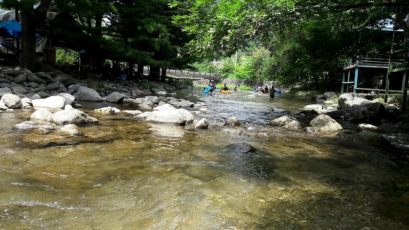 들꽃여울캠핑장 시설 사진 14