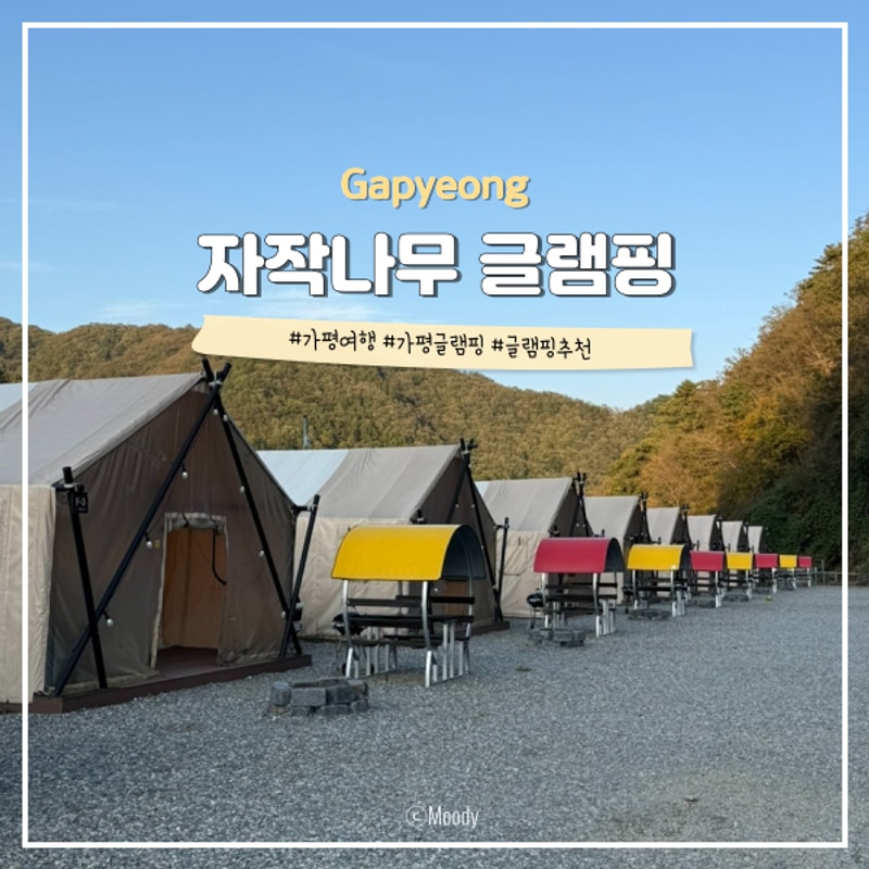 계곡에 수영장까지 있는 가평 자작나무 글램핑 추천 내돈내산...