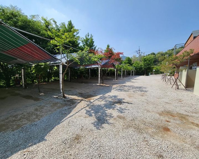 장흥숲길캠핑장 대표 사진